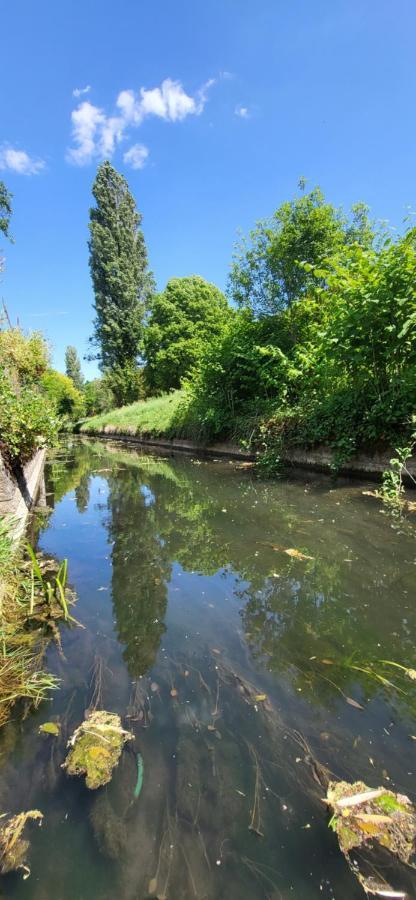Le Gite Du Nohain Entrains-sur-Nohain Bagian luar foto