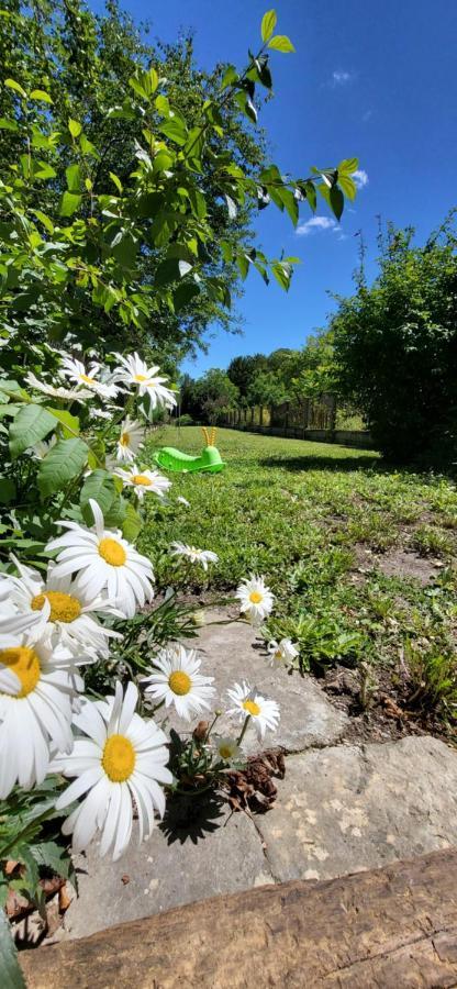 Le Gite Du Nohain Entrains-sur-Nohain Bagian luar foto